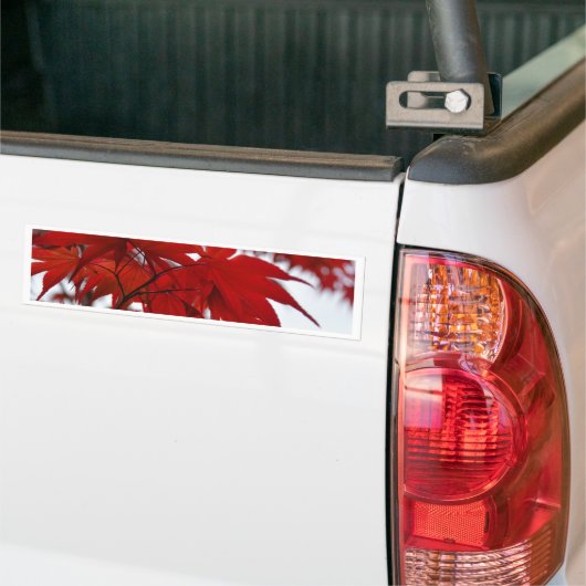 Japanischer Ahornbaum Autoaufkleber (Auf Lkw)