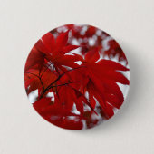 Japanischer Ahornbaum Button (Vorderseite)