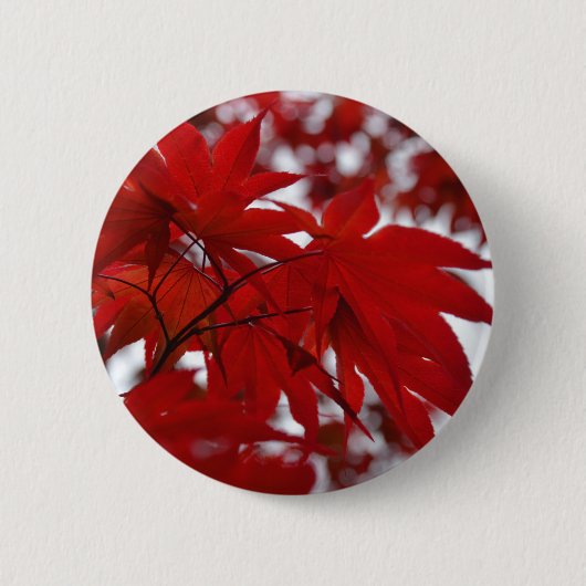 Japanischer Ahornbaum Button (Vorderseite)