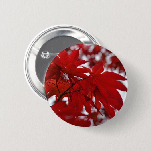 Japanischer Ahornbaum Button (Vorne & Hinten)