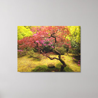 Japanischer Ahornbaum Canvas Print Leinwanddruck