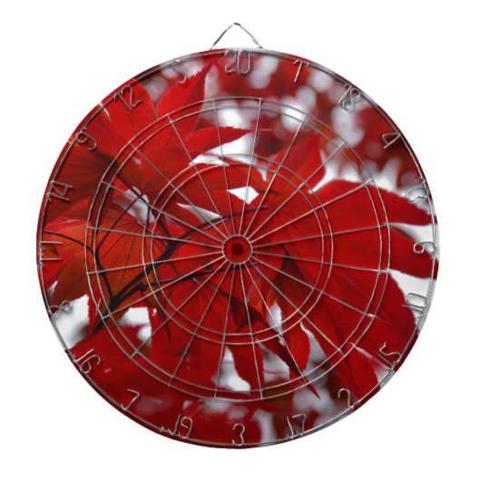 Japanischer Ahornbaum Dartscheibe (vorne)