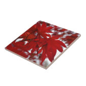 Japanischer Ahornbaum Fliese (Seite)