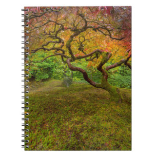 Japanischer Ahornbaum in Herbstfarbe Notizblock