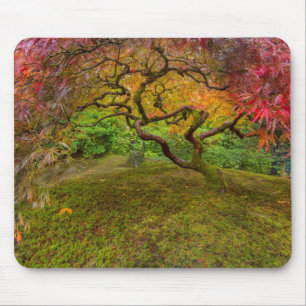 Japanischer Ahornbaum in Herbstfarben Mousepad