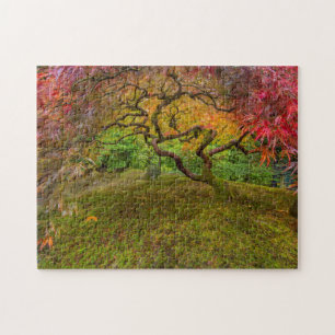 Japanischer Ahornbaum in Herbstfarben Puzzle