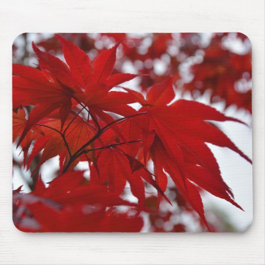 Japanischer Ahornbaum Mousepad (Vorne)