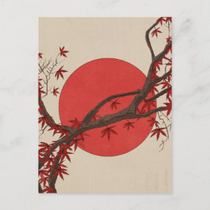 Japanischer Ahornbaum Postkarte