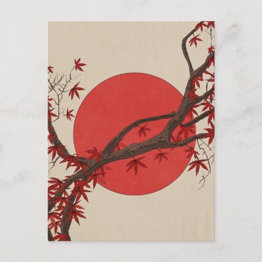 Japanischer Ahornbaum Postkarte (Vorderseite)