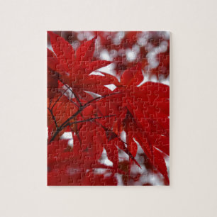 Japanischer Ahornbaum Puzzle