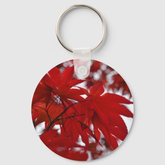 Japanischer Ahornbaum Schlüsselanhänger (Vorderseite)