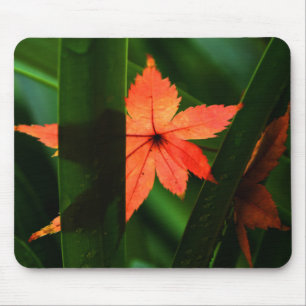Japanischer Ahornleaf Mousepad