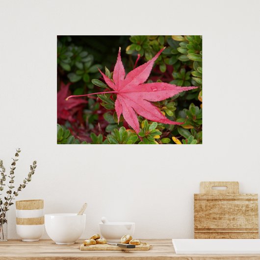 Japanischer Ahornleaf Poster (Küche)