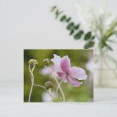 Japanischer Anemone | Herbstanemon Postkarte (Stehend Vorderseite)