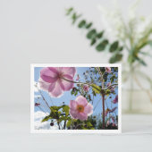 Japanischer Anemone Postkarte (Stehend Vorderseite)