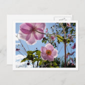 Japanischer Anemone Postkarte (Vorne/Hinten)