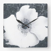 Japanischer Anemone.