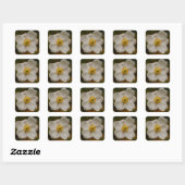 Japanischer Anemonsticker Quadratischer Aufkleber (Blatt)
