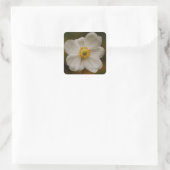 Japanischer Anemonsticker Quadratischer Aufkleber (Tasche)