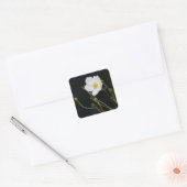 Japanischer Anemonsticker Quadratischer Aufkleber (Umschlag)