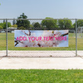 Japanischer Apricot Blossom Banner (Insitu)