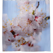 Japanischer Apricot Blossom Duschvorhang (Vorderseite)