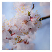 Japanischer Apricot Blossom Fliese (Vorderseite)
