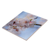 Japanischer Apricot Blossom Fliese (Seite)