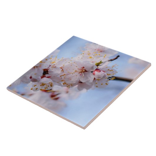 Japanischer Apricot Blossom Fliese (Seite)