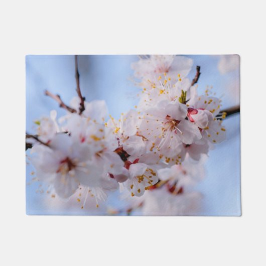 Japanischer Apricot Blossom Fußmatte (Vorderseite)