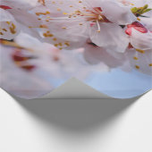 Japanischer Apricot Blossom Geschenkpapier (Ecke)