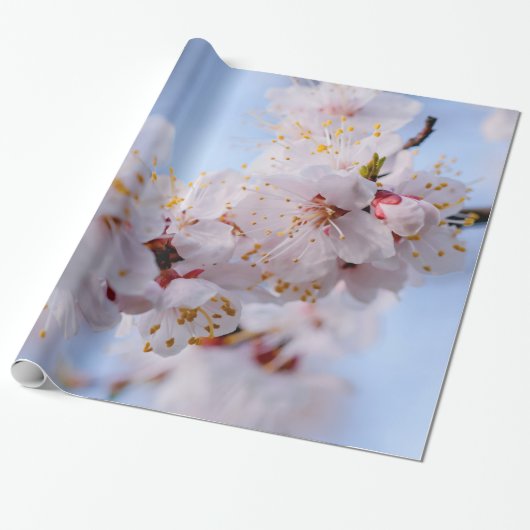 Japanischer Apricot Blossom Geschenkpapier (Ungerollt)