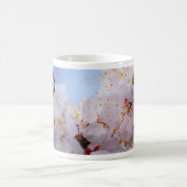 Japanischer Apricot Blossom Kaffeetasse (Mittel)
