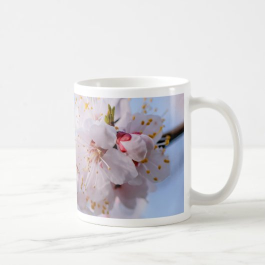 Japanischer Apricot Blossom Kaffeetasse (Rechts)