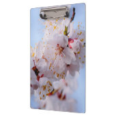 Japanischer Apricot Blossom Klemmbrett (Links)