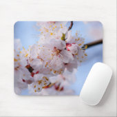 Japanischer Apricot Blossom Mousepad (Mit Mouse)