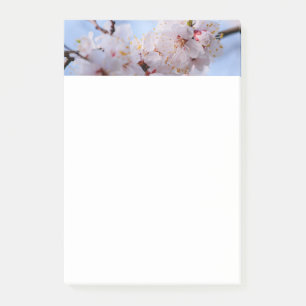 Japanischer Apricot Blossom Post-it Klebezettel