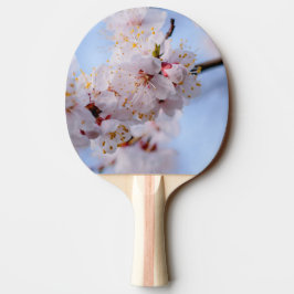 Japanischer Apricot Blossom Tischtennis Schläger