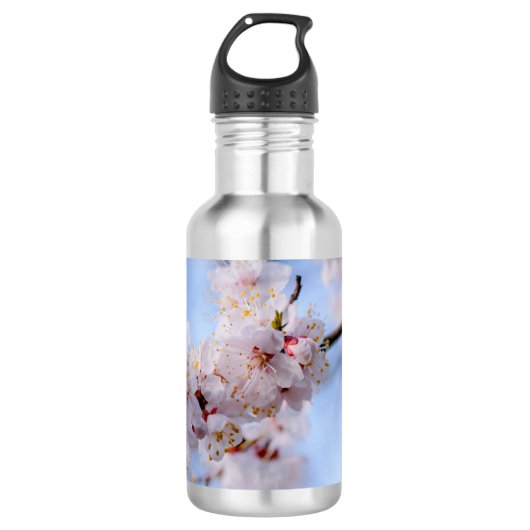 Japanischer Apricot Blossom Trinkflasche (Vorderseite)