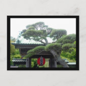 japanischer Baum Postkarte (Vorderseite)