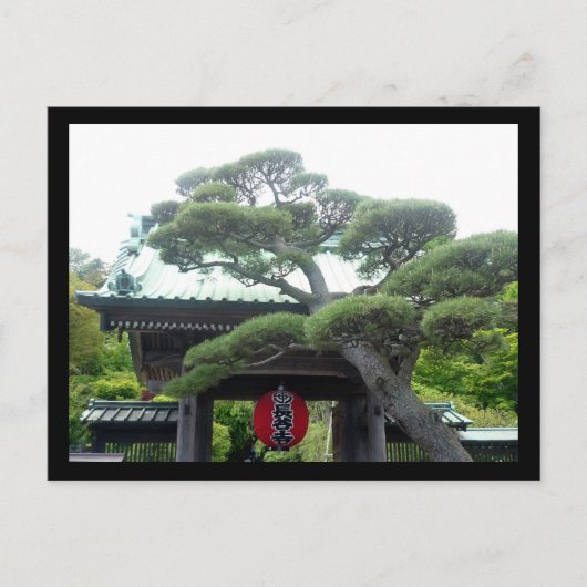 japanischer Baum Postkarte (Vorderseite)
