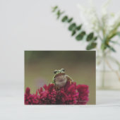 Japanischer Baumfrosch (Hyla japonica) auf Blume, Postkarte (Stehend Vorderseite)