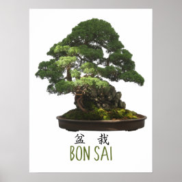 Japanischer Bonsai Tree und Symbol Poster