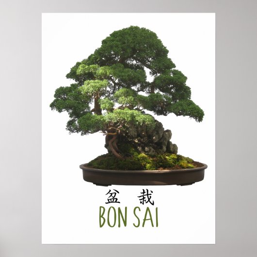 Japanischer Bonsai Tree und Symbol Poster (Vorne)