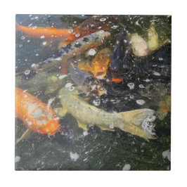 Japanischer Carp Koi Fisch schwimmen Fliese