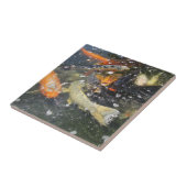 Japanischer Carp Koi Fisch schwimmen Fliese (Seite)