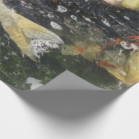 Japanischer Carp Koi Fisch schwimmen Geschenkpapier (Ecke)