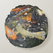 Japanischer Carp Koi Fisch schwimmen