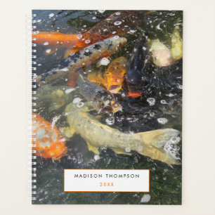 Japanischer Carp Koi Fisch Schwimmen Viel Glück Planer