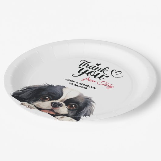 Japanischer Chin Pappteller (Schrägansicht)